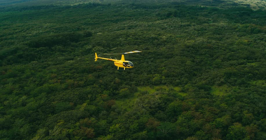 A yellow helicopter is flying over a forested area