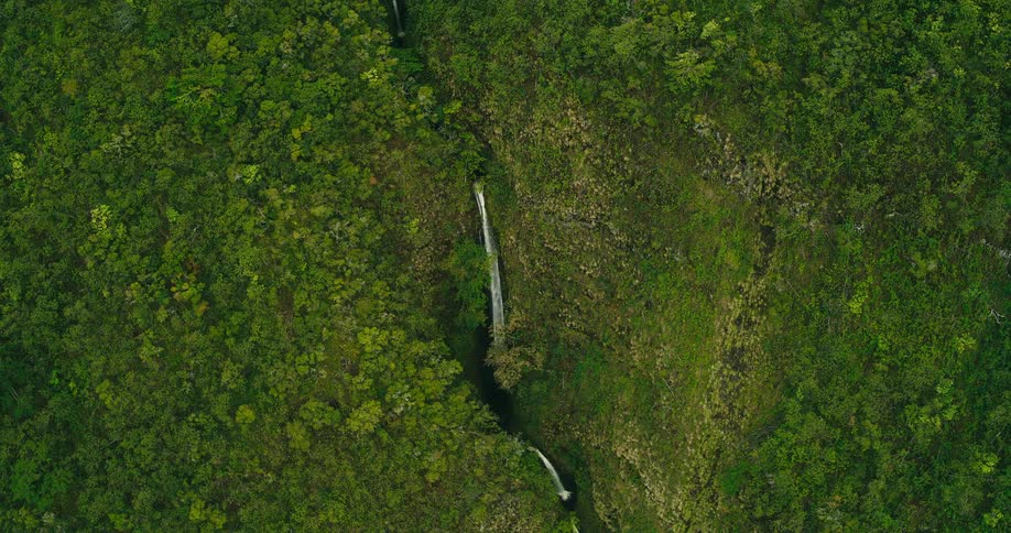 Narrow waterfall flowing through dense green vegetation