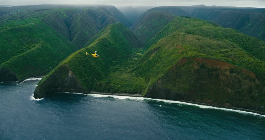Plants and vegetation cover mountains along the coast as a helicopter flies over the water