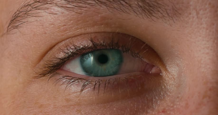 Blue eye in closeup with sharp details of eyelashes and skin