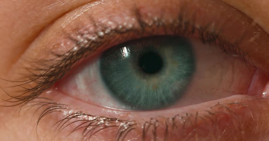 Extreme closeup of a persons blue eye