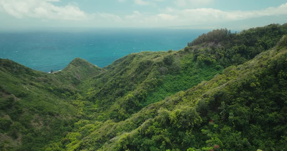An aerial shot flies over a lush forestcovered mountain ridge revealing the beautiful blue ocean stretching to the horizon