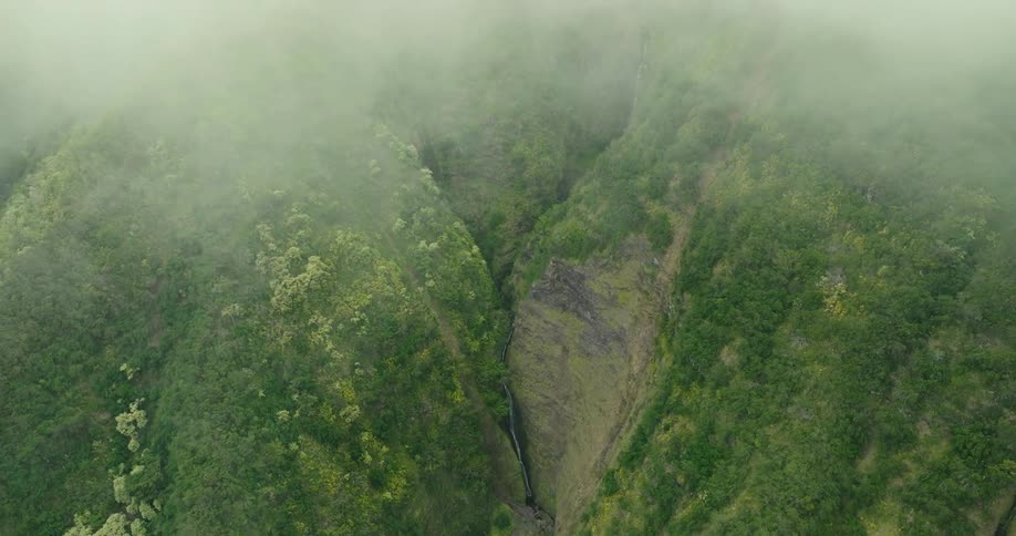 Narrow valley covered in vegetation with waterfall hidden beneath the mist