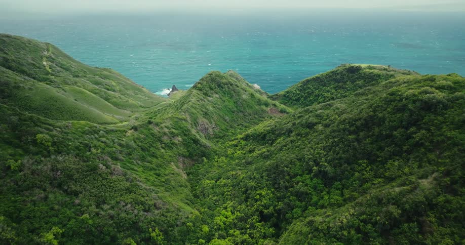 Aerial view of lush green hills overlooking the ocean under a clear sky