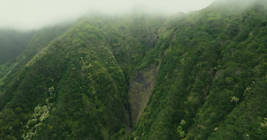A mountain range covered in green vegetation surrounded by a foggy atmosphere at midday