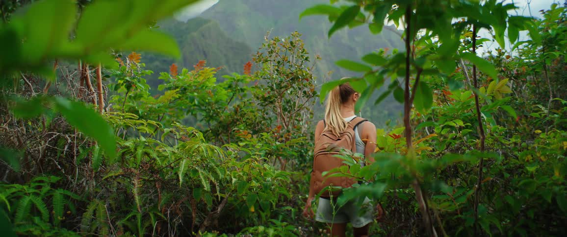 A woman with a backpack and blonde hair in a ponytail walks through lush green foliage with misty mountains visible in the distance