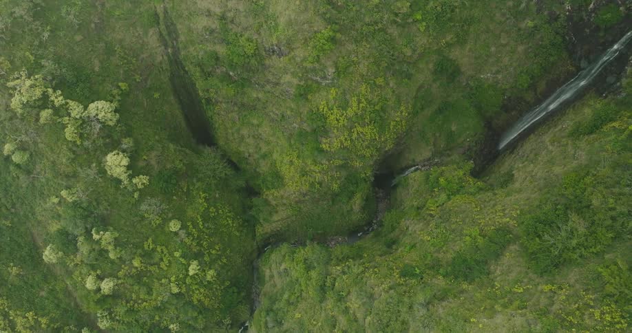The mountains and waterfall are covered with grass