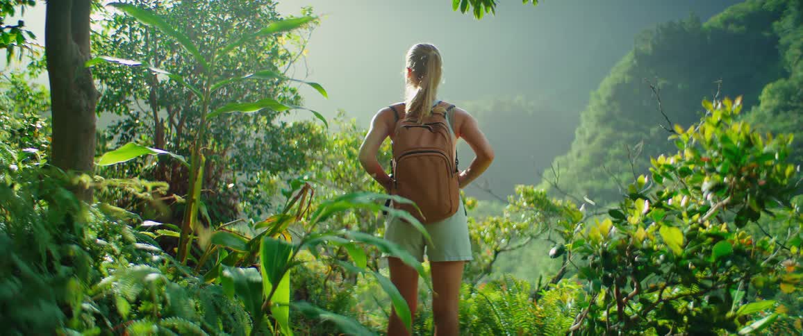 A person with a backpack is standing on a path surrounded by lush green jungle foliage they are looking out over the misty tropical landscape