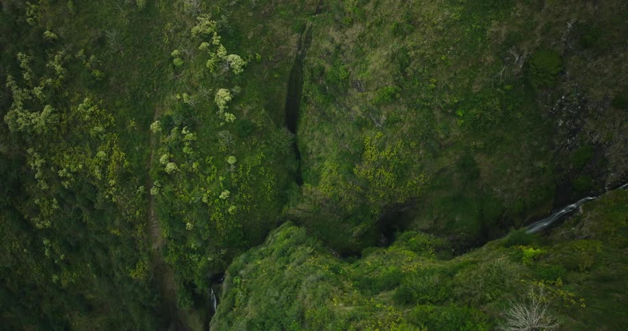 A dense green mountain landscape with cliffs and a narrow stream