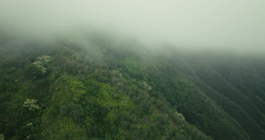 A mountain range covered in green vegetation with a foggy atmosphere at midday