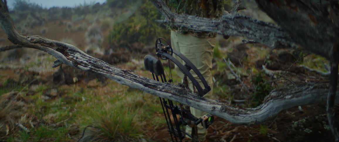 The man walks to the tree and lays down their bow