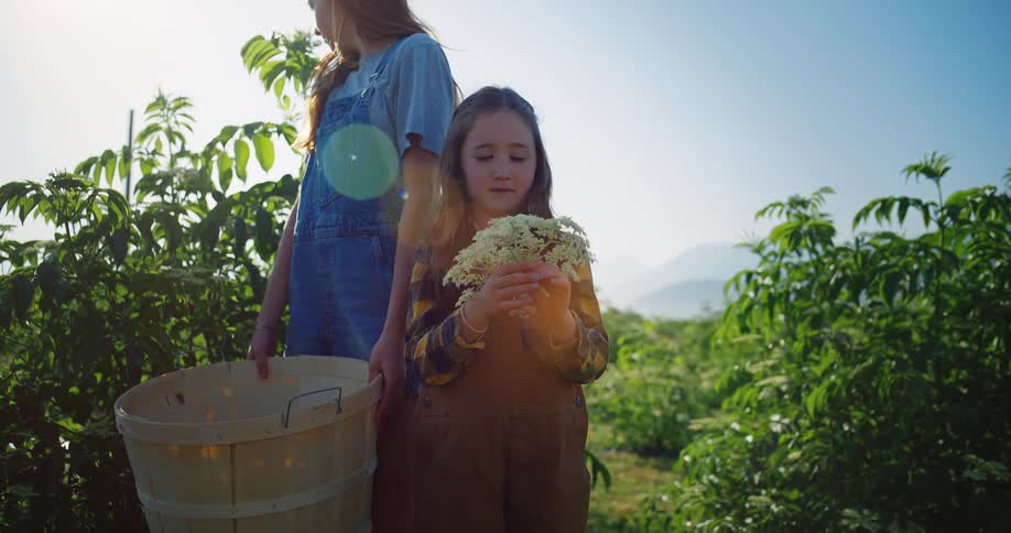 Child holding white flowers next to a girl with a bucket in a plantation