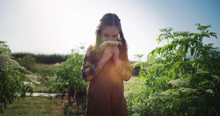 A girl smells a bloom in a sunlit garden surrounded by lush rows