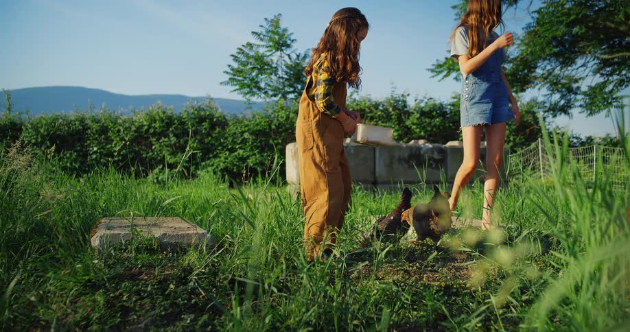 A girl with a yellow plaid shirt and brown overalls kneels down in a grassy field to feed several chickens while another girl in a denim jumper watches beside her