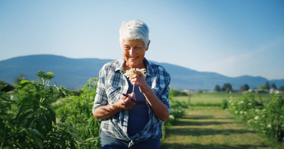 A woman with short gray hair and a plaid shirt stands in a garden holding a pair of shears and a small white flowering plant smiling before bringing the flower up to her nose to smell it