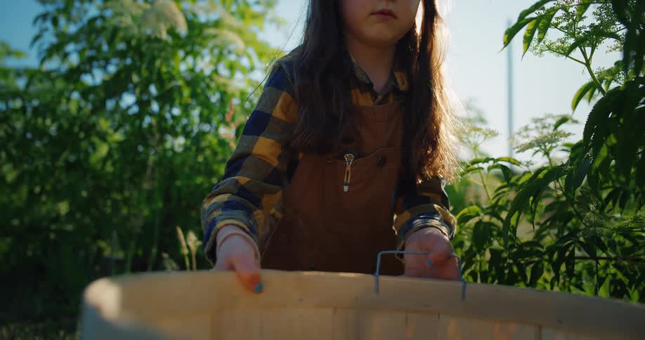 A young girl with long brown hair and a plaid shirt with overalls is in a garden harvesting flower and placing them into a light colored wooden basket on the ground