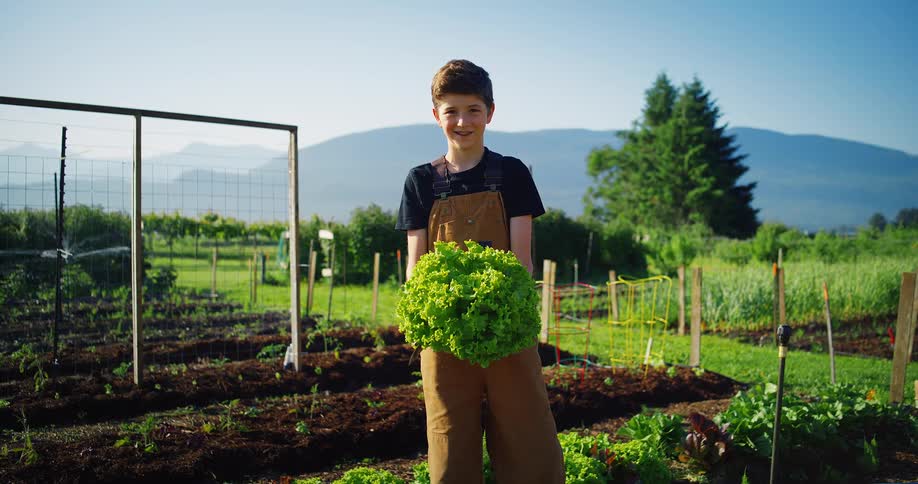 Boy holding leafy greens harvested from garden on a farm