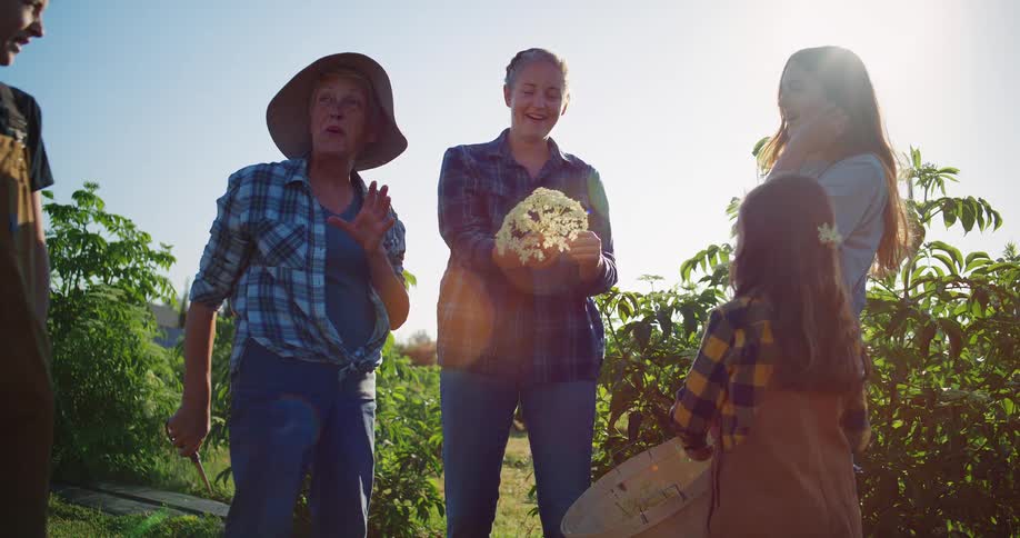 A family happily spends time together outdoors on a sunny farm