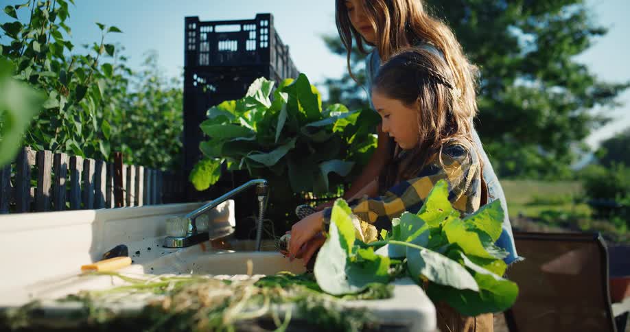 Woman and girl wash fresh vegetables in an outdoor sink