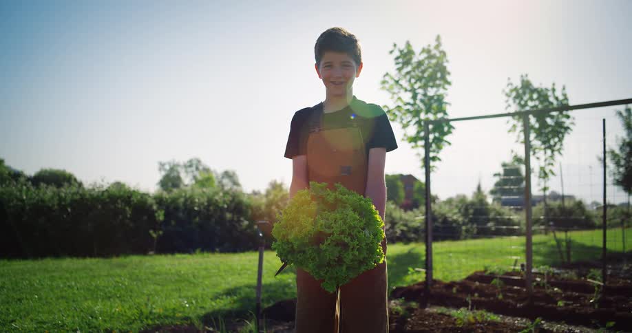 Young boy holding freshly harvested produce from backyard garden