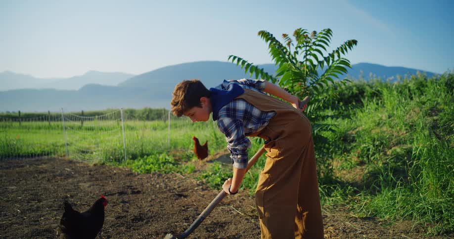 A young boy uses a shovel to dig in the dirt while two chickens watch him