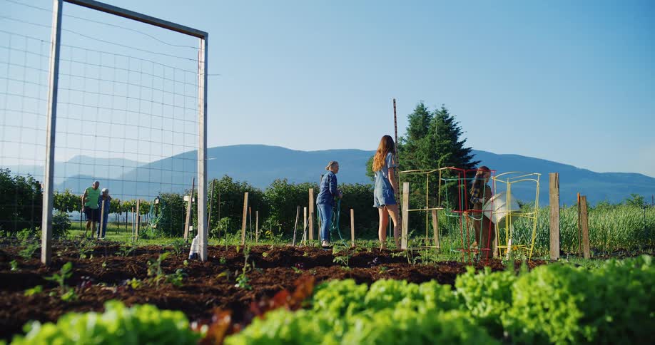 A wide scene of several people tending plots and assembling supports in a community garden