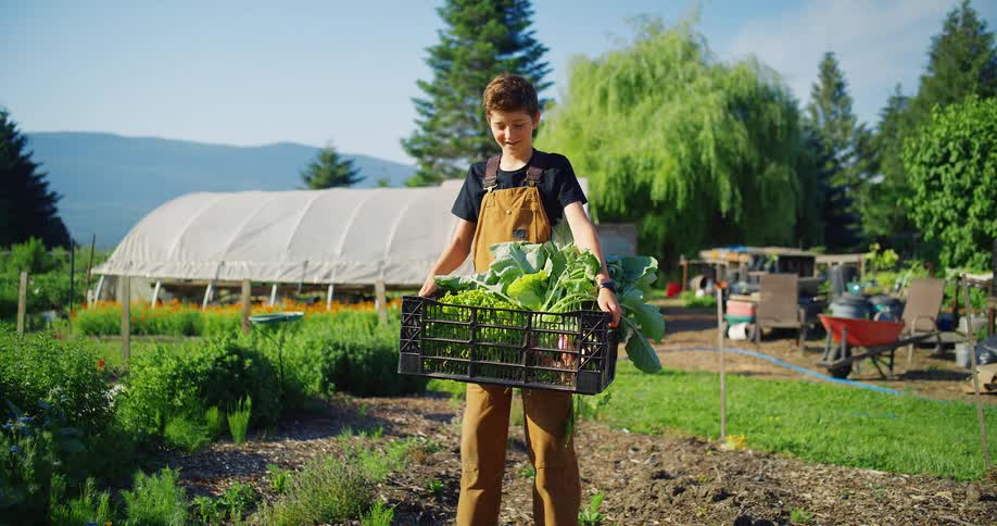 A teenager with short brown hair wearing brown overalls and a black tshirt stands in a garden and smiles at the camera holding a black plastic crate filled with freshly picked green lettuce and other vegetables
