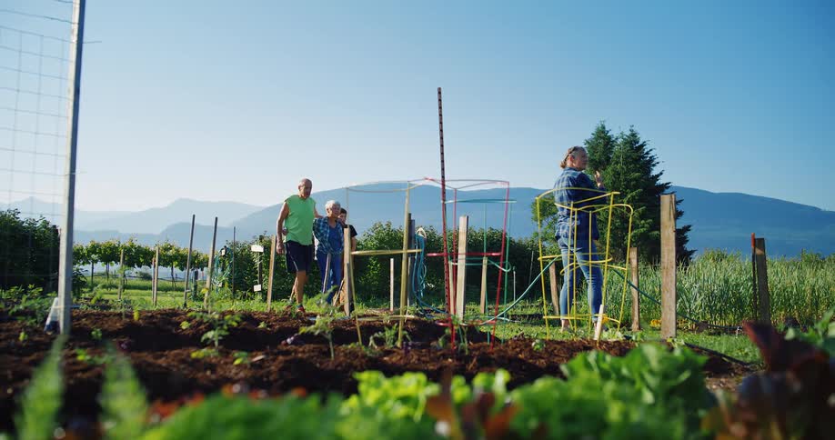 A family walking on a large garden in a sunny day with mountains in the background
