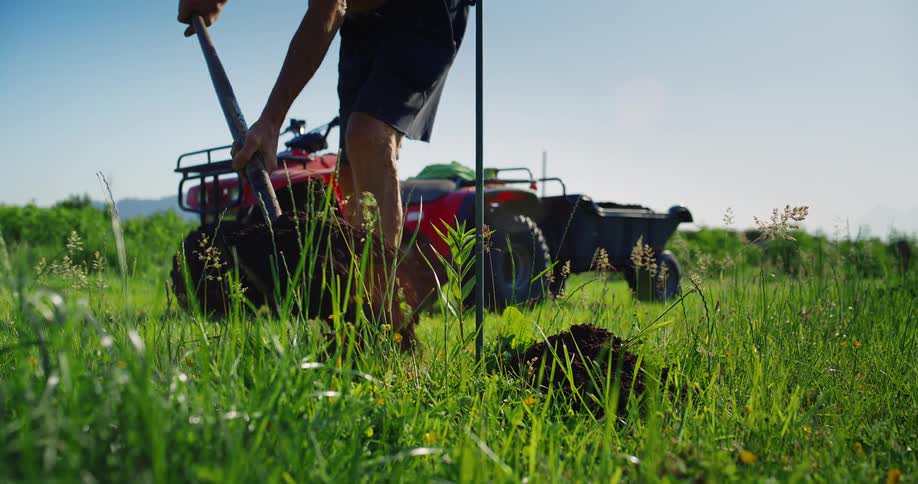A person digs into the ground with a shovel in a grassy field