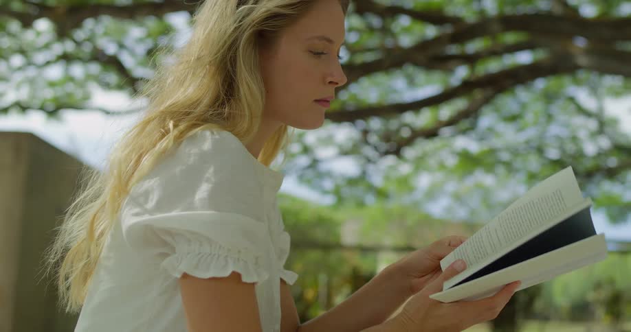 Woman sitting under the shade of a tree reads a book quietly