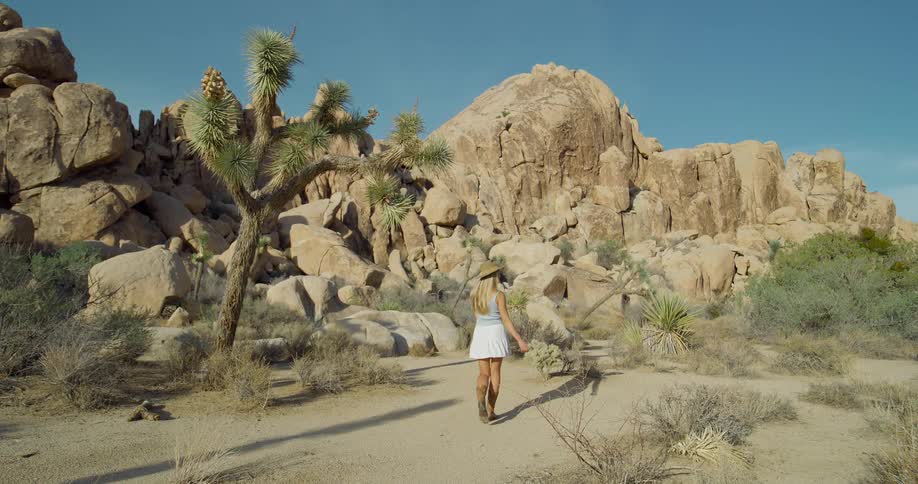 A woman in a white dress walks through a desert landscape