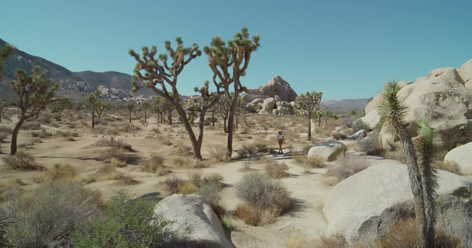 An expansive view of a desert dotted with boulders under a crystal sky