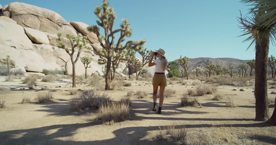 Blonde photographer walking through arid terrain dotted with joshua trees takes pictures on a sunny summer day