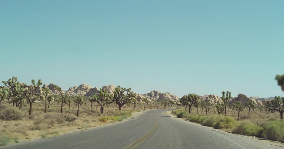 A car interior perspective of driving on a paved road through a desert landscape with trees and a clear blue sky