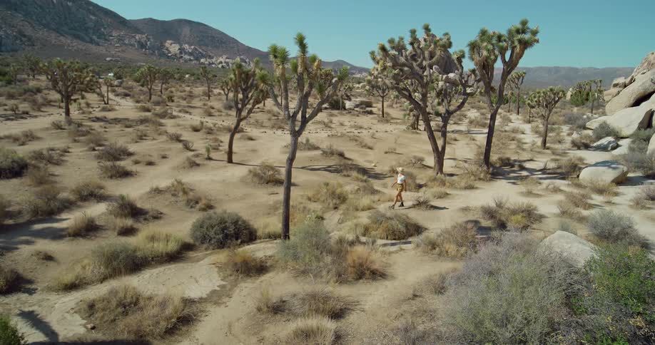 Woman passes scrub and joshua trees while walking through arid terrain bordered by hills