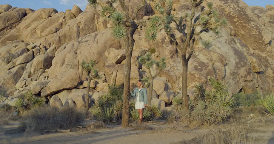 The video shows a wide shot of a woman in a desert landscape she is standing between two joshua trees with a large rocky mountain in the background she is wearing a white dress and a light blue jacket and is holding a hat in her right hand
