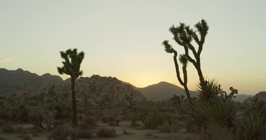 The sun is rising on the desert