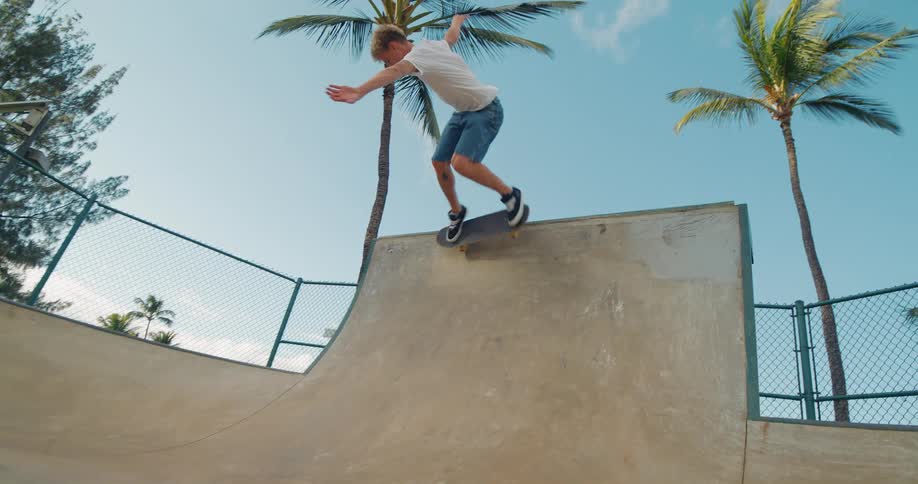 Young man performs skateboard trick on outdoor ramp with palm trees in the background