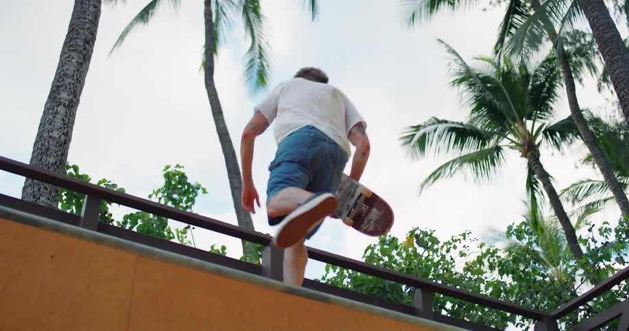 A person skateboards on a ramp in a tropical outdoor scene