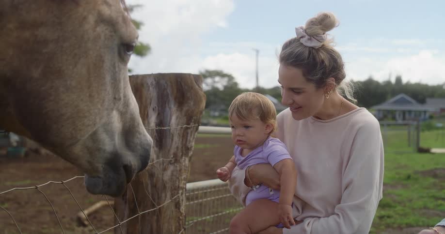 A woman with her hair in a bun holds a baby in her arms next to a horse the horses head is in the foreground and the woman and baby are in the midground smiling at the horse