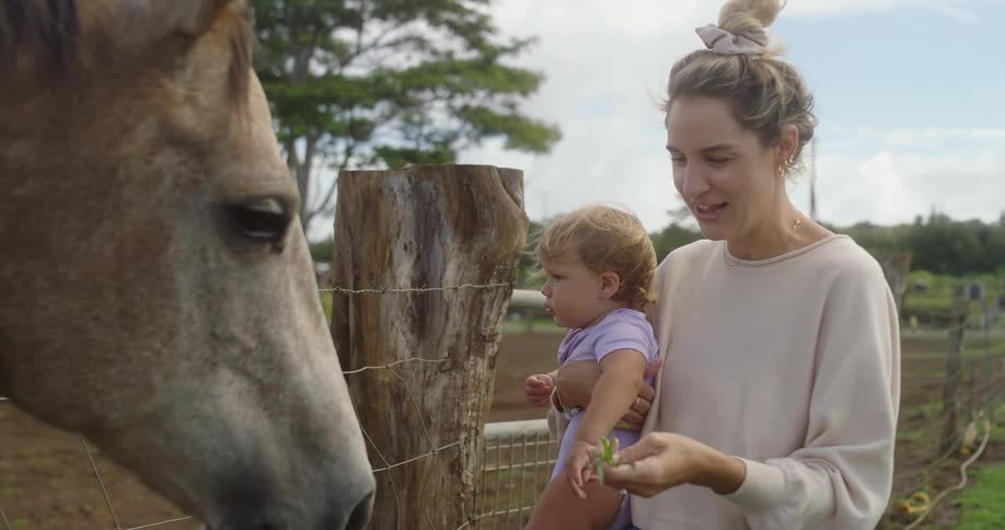 A smiling mother with blonde hair holds a small child in her arms and together they stand by a fence and feed a handful of green plants to a large horse