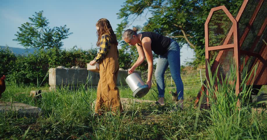 A mother and child stand in a grassy yard feeding chickens from a metal bucket and a plastic bowl