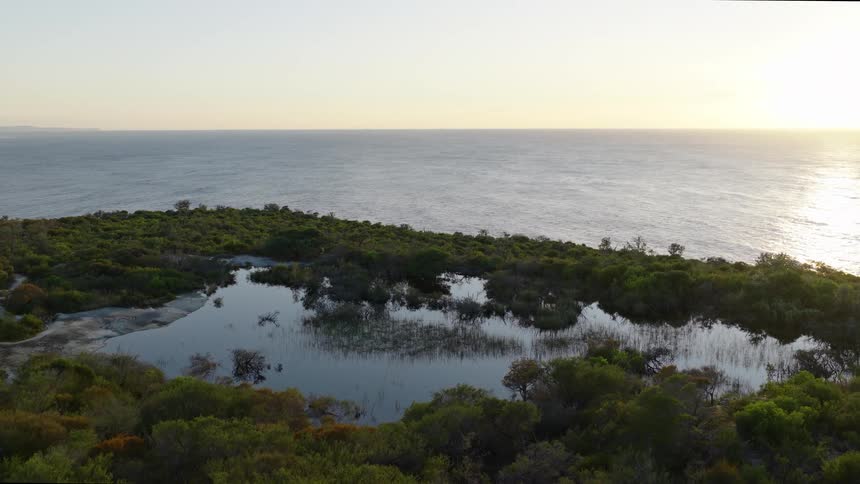 A tranquil pond surrounded by lush green vegetation on a coastline with the calm ocean stretching to the horizon under a bright sky
