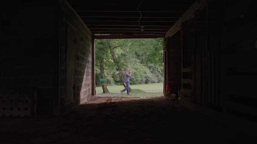A woman walks out of a dark stable into the light of day she is carrying a large piece of wood