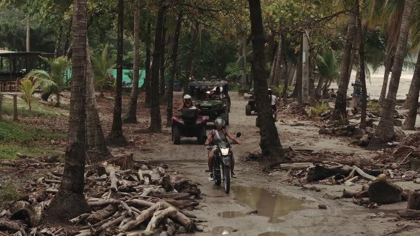 Motorcyclist and vehicles travel along a dirt road surrounded by palm trees