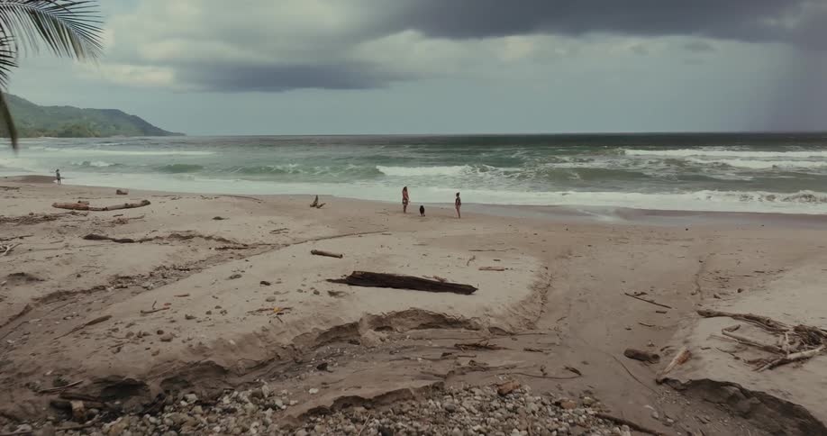 A person is seen from an aerial perspective walking along a sandy beach a small dog runs next to them as they walk toward the water and waves crash onto the shore in the background