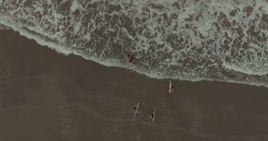 Group of surfers walks across the sand towards the sea with surfboards