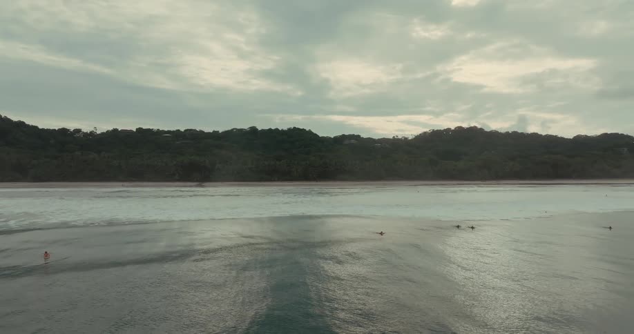 A low aerial view from over the water shows a group of surfers paddling out on a flat ocean toward a sandy beach lined with lush green vegetation