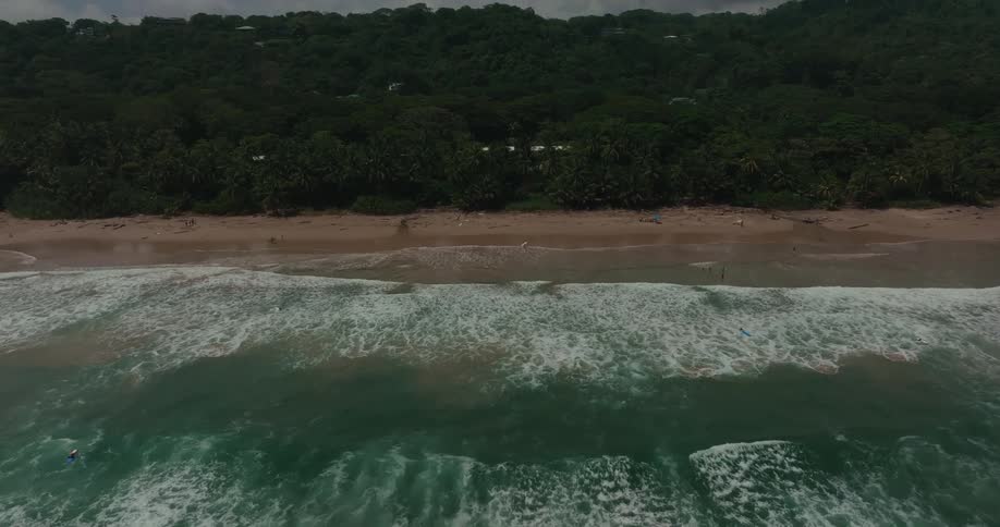 Waves crash towards the beach surrounded by dense forest