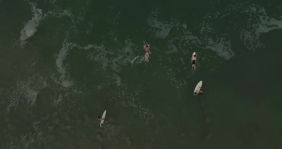 A group of surfers paddle out with their surfboards into the ocean